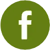 Socialicon | Facebook